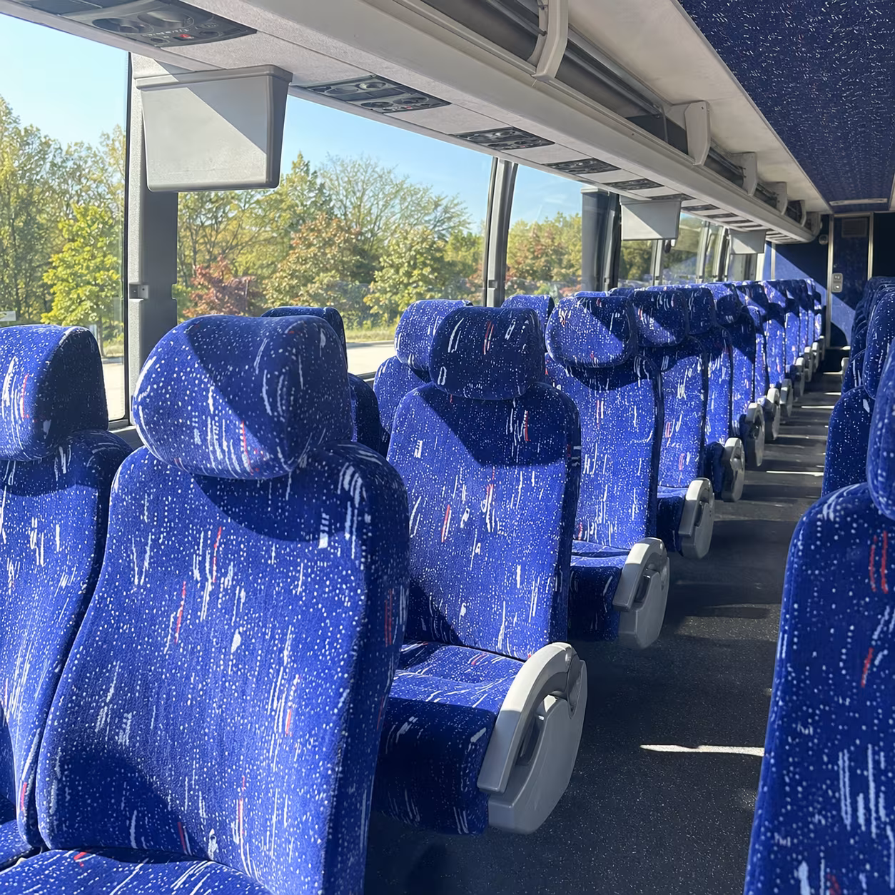 maple grove wedding transportation
