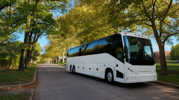 maple grove prom and homecoming party bus rentals