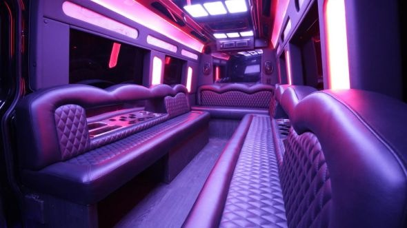 maple grove sprinter limo rental rental